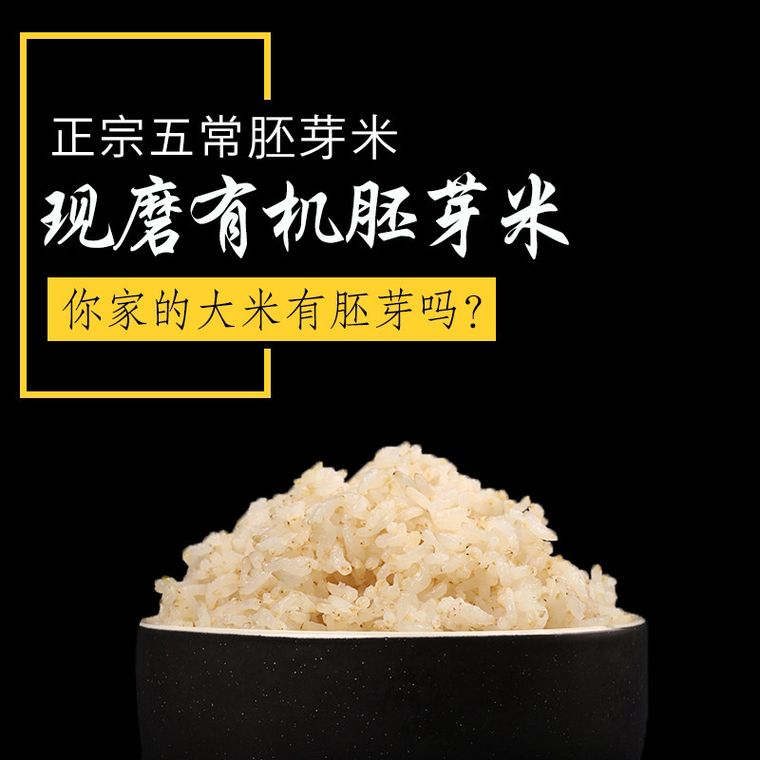 食堂食材集中采购 招标